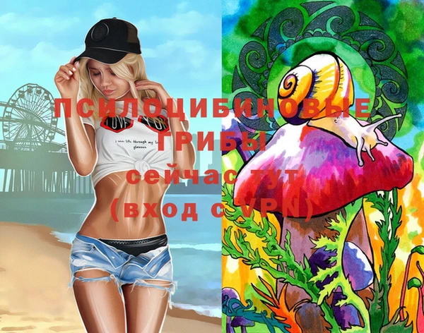 прущая мука Козловка